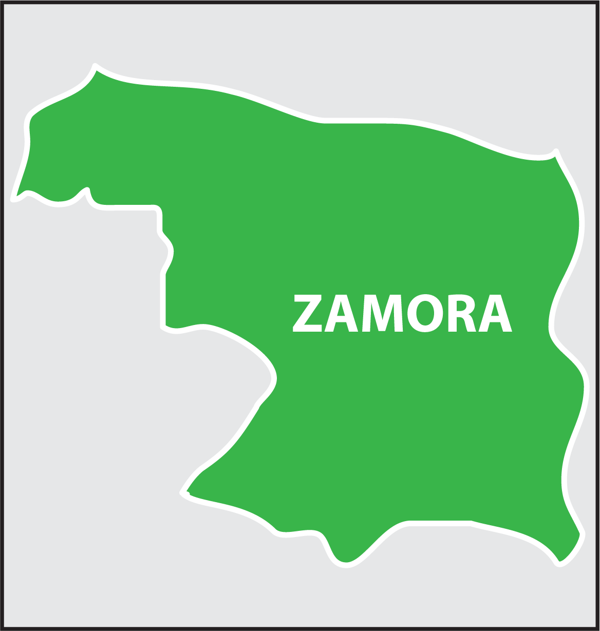 ZAMORA.png
